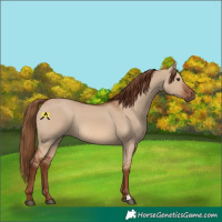 Horse Color:Red Dun