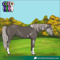 Horse Color:Silver Black Tobiano