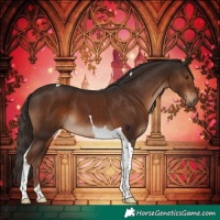 Horse Color:Liver Chestnut Tobiano 