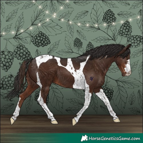 Horse Color:Liver Chestnut Tobiano 