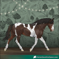 Horse Color:Liver Chestnut Tobiano 