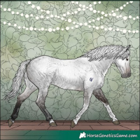 Horse Color:Gray Brown Roan Tobiano Rabicano 