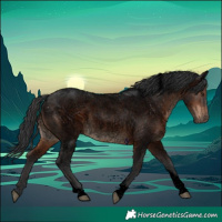 Horse Color:Void Brown Roan Tobiano Rabicano