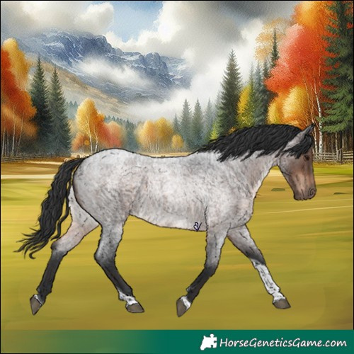 Horse Color:Brown Roan Tobiano Rabicano