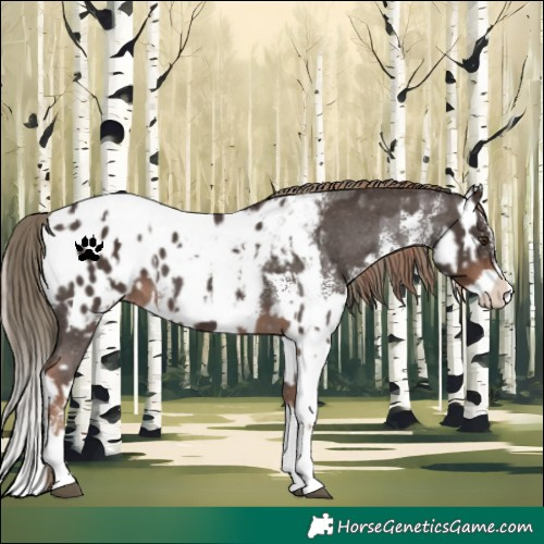Horse Color:Liver Chestnut Sabino Splash Blanket  and Liver Chestnut Sabino Splash Snowcap 