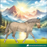 Horse Color:Chocolate Palomino Dun Tobiano 