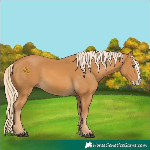 Horse Color:Palomino Splash 