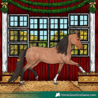 Horse Color:Bay Roan Tobiano 