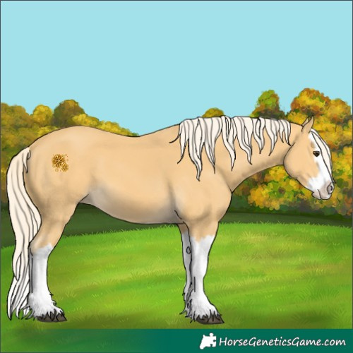 Horse Color:Palomino Splash 