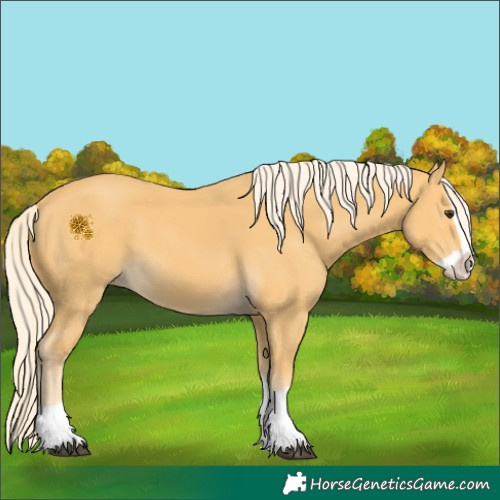 Horse Color:Palomino Splash 