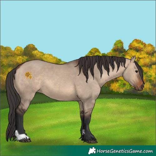 Horse Color:Brown Dun 