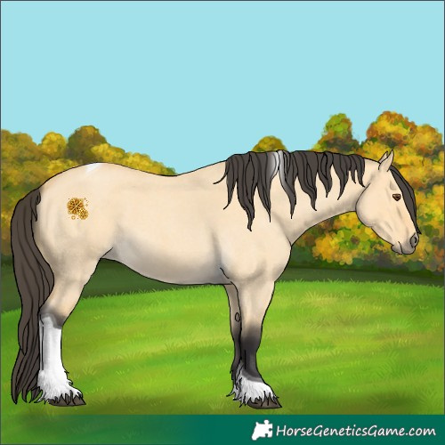 Horse Color:Buckskin Roan Dun Tobiano 