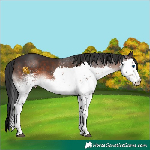 Horse Color:White Spotted Brown Mushroom Splash 