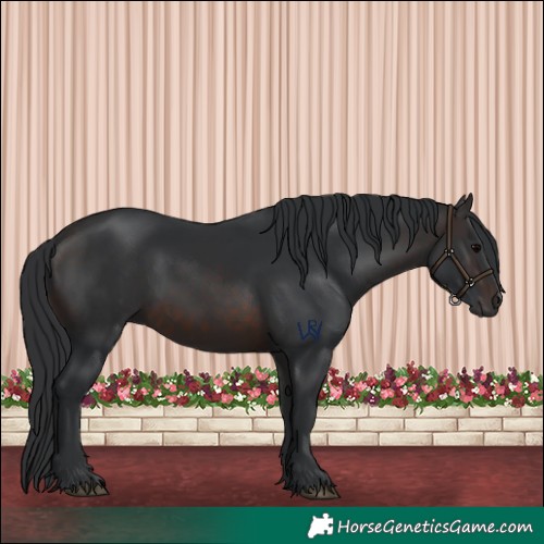 Horse Color:Brown 