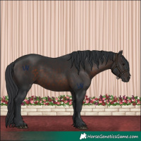 Horse Color:Brown 