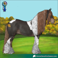Horse Color:Liver Chestnut Tobiano Rabicano 