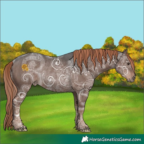 Horse Color:Liver Chestnut Ice Rabicano 