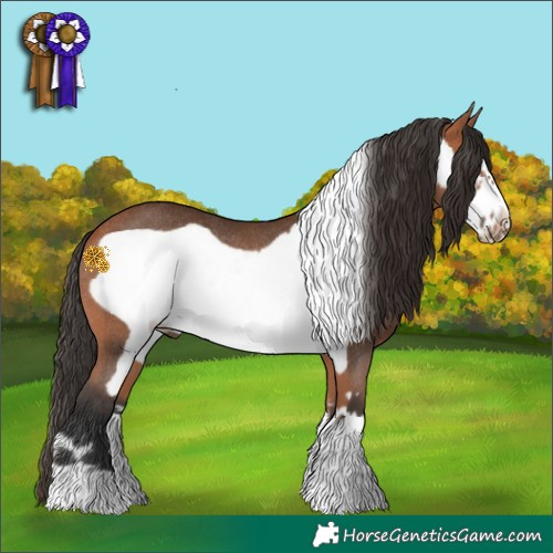 Horse Color:Bay Frame Rabicano 