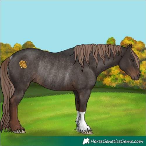 Horse Color:Liver Chestnut Rabicano 