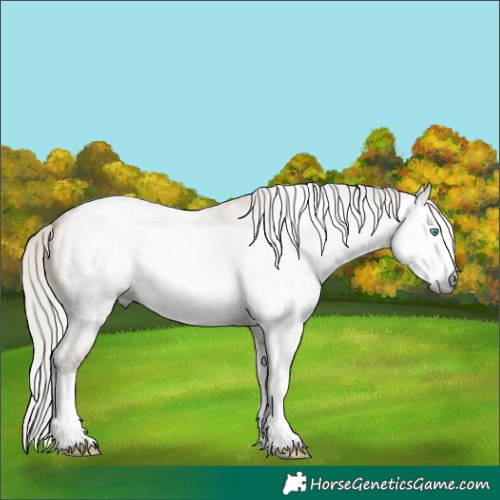 Horse Color:Gray White Spotted Silver Smoky Grullo Pearl 