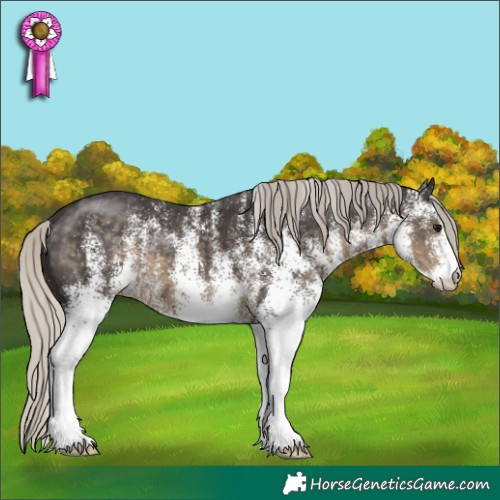 Horse Color:White Spotted Silver Smoky Black