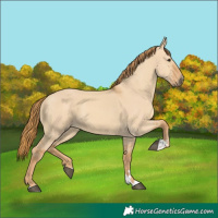 Horse Color:Red Dun 