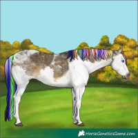 Horse Color:Gray Painted Brown Dun Splash Tobiano