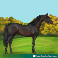 Horse Color:Brown 