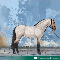 Horse Color:Bay Roan Dun