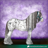 Horse Color:Brown Sabino Splash Near Leopard and Brown Sabino Splash Near Leopard