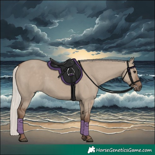 Horse Color:Silver Grullo 