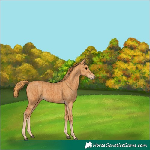 Horse Color:Chestnut and Chestnut