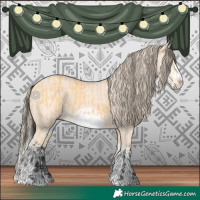 Horse Color:Buckskin Splash Frame  and Perlino Splash Frame 