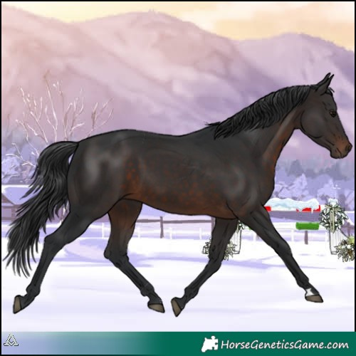Horse Color:Brown 