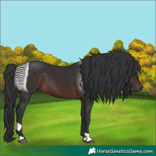 Horse Color:Brown 