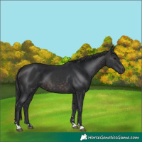 Horse Color:Platinum Brown 