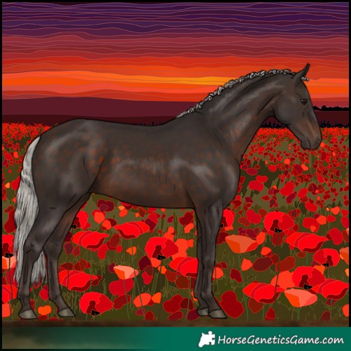 Horse Color:Silver Brown