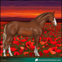 Horse Color:Chestnut 