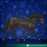 Horse Color:Brown 