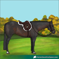 Horse Color:Brown 