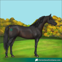 Horse Color:Brown 