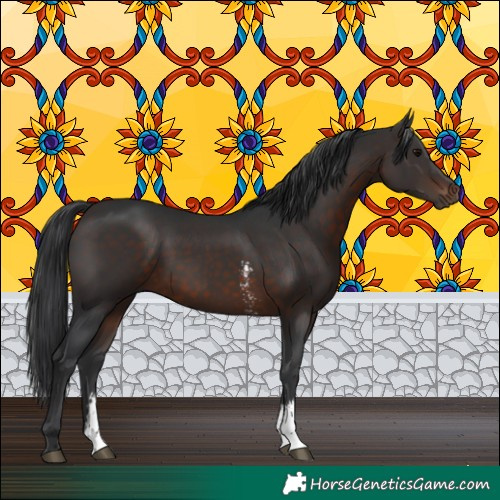 Horse Color:Brown Sabino
