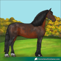 Horse Color:Brown Mushroom 