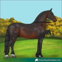 Horse Color:Brown Mushroom 