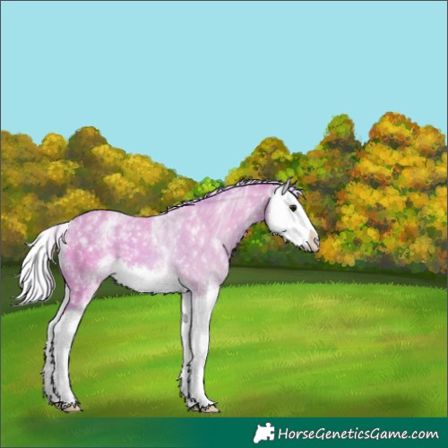 Horse Color:Watercolor White Spotted Silver Bay Splash 