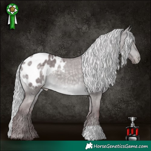Horse Color:Platinum Chocolate Silver Buckskin Dun Blanket 