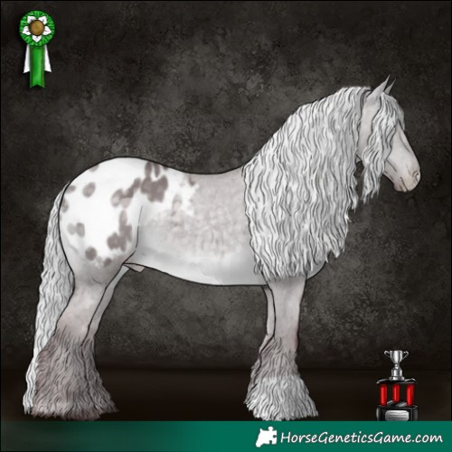 Horse Color:Platinum Chocolate Silver Buckskin Dun Appaloosa 