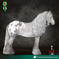 Horse Color:Platinum Chocolate Silver Buckskin Dun Appaloosa