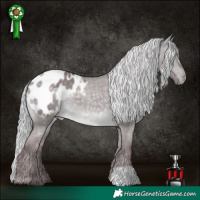 Horse Color:Platinum Chocolate Silver Buckskin Dun Blanket 
