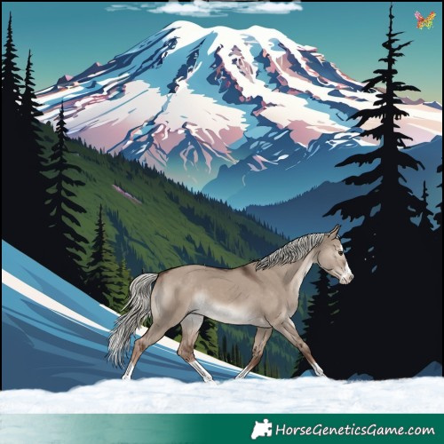 Horse Color:Liver Red Dun Mushroom Splash 